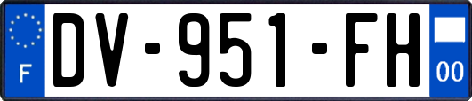 DV-951-FH