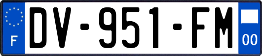 DV-951-FM