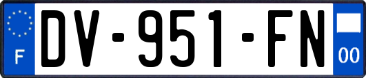 DV-951-FN