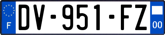 DV-951-FZ