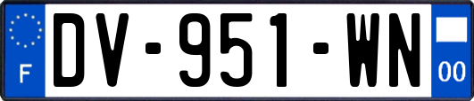 DV-951-WN