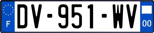 DV-951-WV