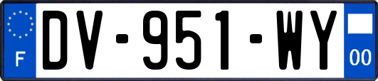 DV-951-WY