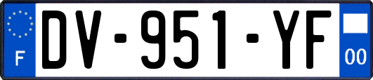 DV-951-YF