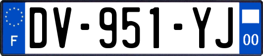 DV-951-YJ