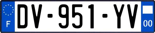 DV-951-YV