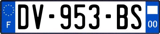 DV-953-BS