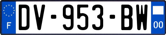 DV-953-BW