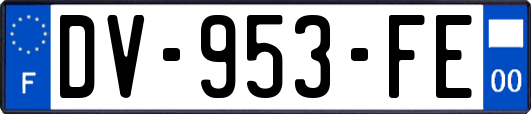 DV-953-FE