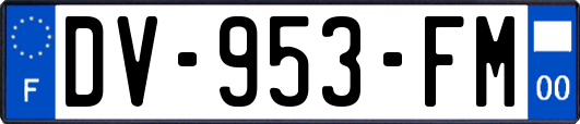 DV-953-FM