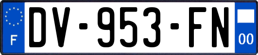 DV-953-FN