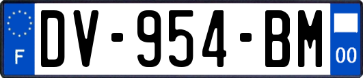 DV-954-BM