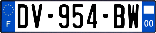 DV-954-BW