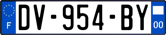 DV-954-BY