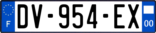 DV-954-EX