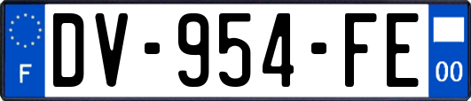 DV-954-FE