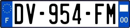 DV-954-FM