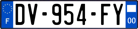 DV-954-FY