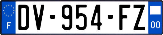 DV-954-FZ