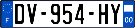 DV-954-HY