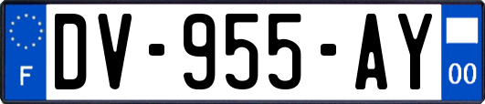 DV-955-AY