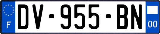 DV-955-BN