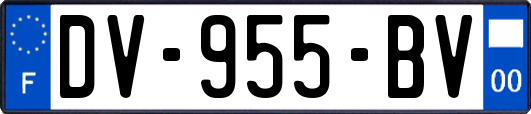 DV-955-BV