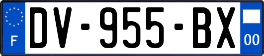 DV-955-BX