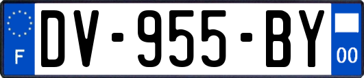 DV-955-BY