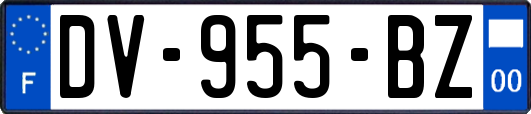 DV-955-BZ