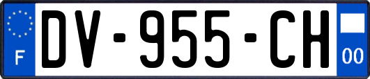 DV-955-CH