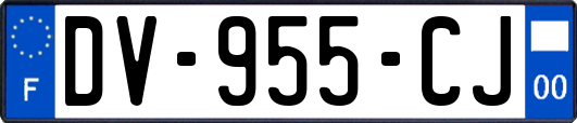 DV-955-CJ