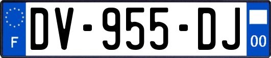 DV-955-DJ