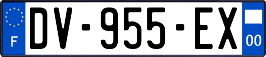 DV-955-EX