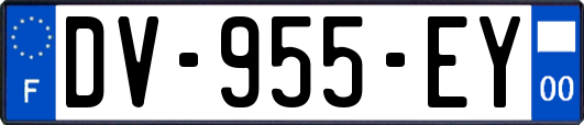 DV-955-EY