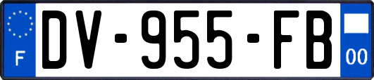 DV-955-FB