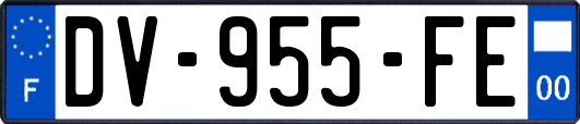 DV-955-FE