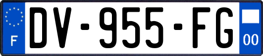 DV-955-FG