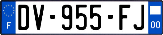 DV-955-FJ