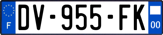 DV-955-FK