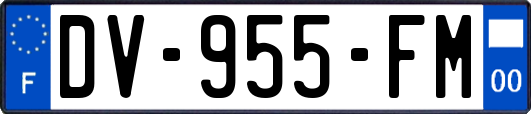 DV-955-FM