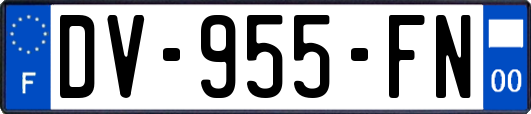 DV-955-FN