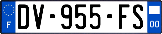 DV-955-FS