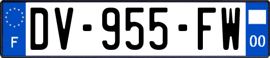 DV-955-FW