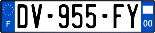 DV-955-FY