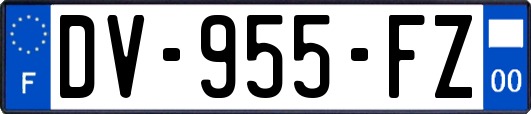 DV-955-FZ