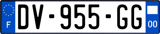 DV-955-GG