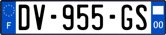 DV-955-GS