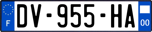 DV-955-HA