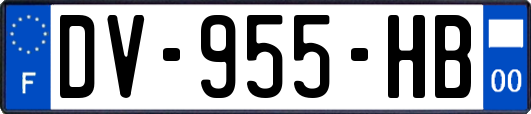 DV-955-HB